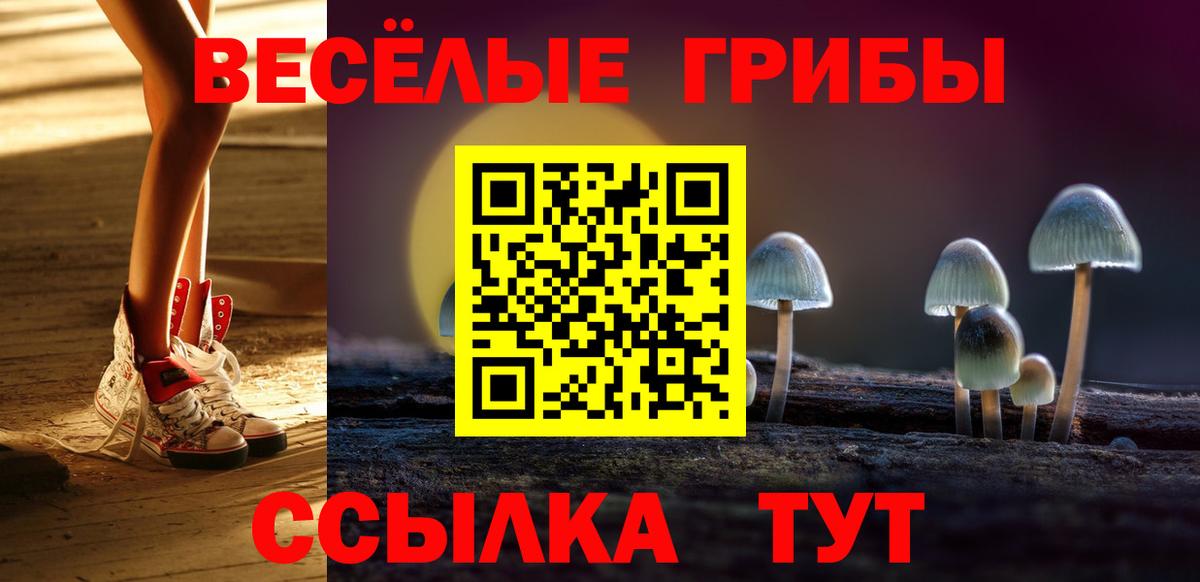Малоярославец  цена наркотик  Вход с VPN  Псилоцибиновые грибы Cubensis 