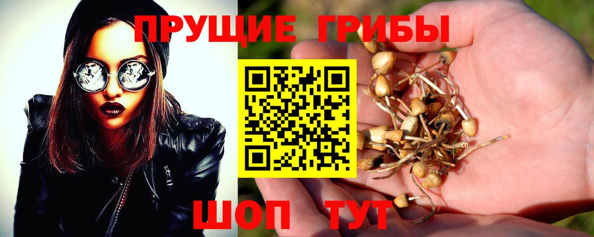 Псилоцибиновые грибы Magic Shrooms Малоярославец